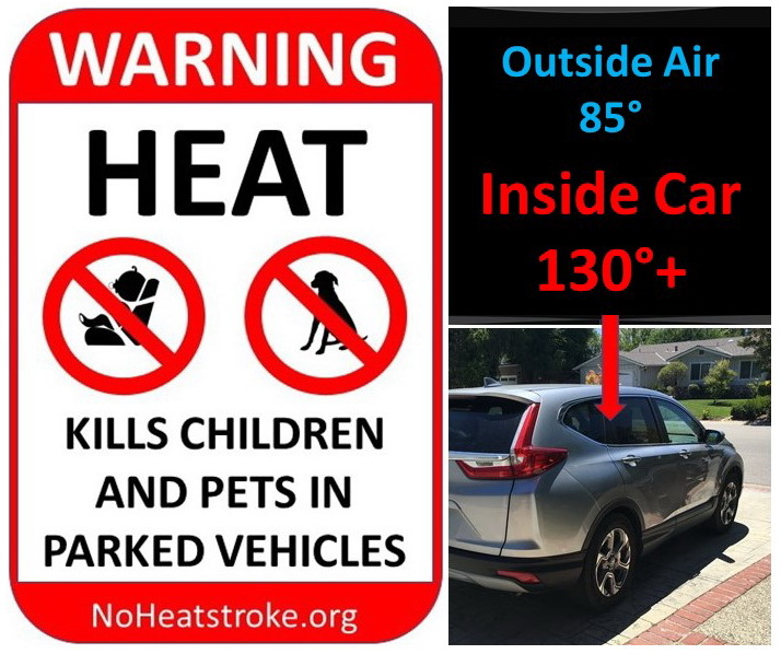 Image of a hot car and warning against leaving pets and children.
