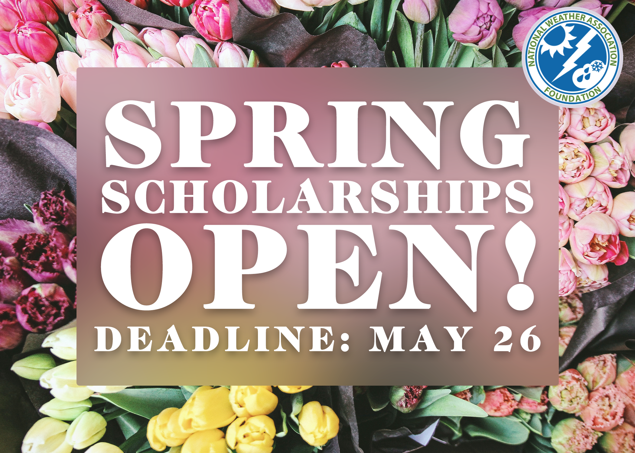 Spring Scholarships Open! Deadline to Apply is May 26. 